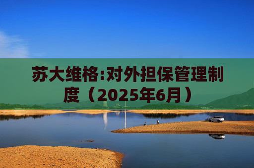 苏大维格:对外担保管理制度（2025年6月）