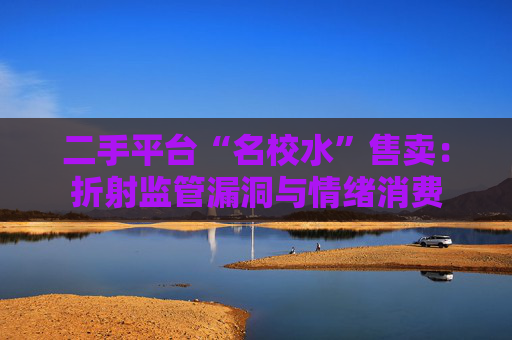二手平台“名校水”售卖：折射监管漏洞与情绪消费