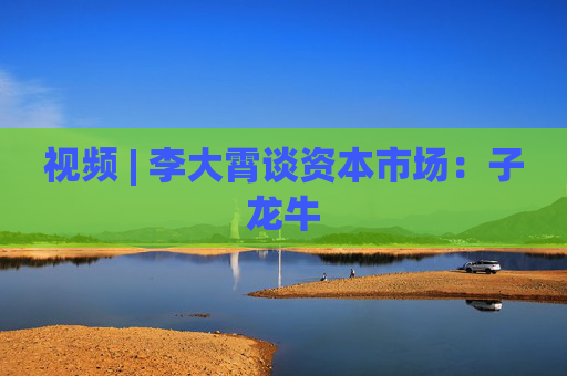 视频 | 李大霄谈资本市场：子龙牛