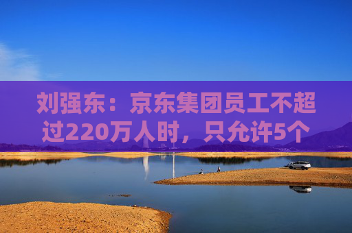 刘强东：京东集团员工不超过220万人时，只允许5个组织层级  第1张
