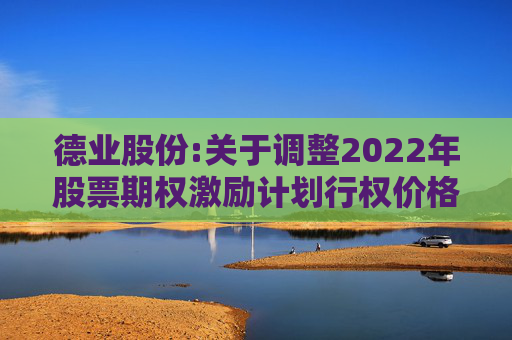 德业股份:关于调整2022年股票期权激励计划行权价格及数量的公告