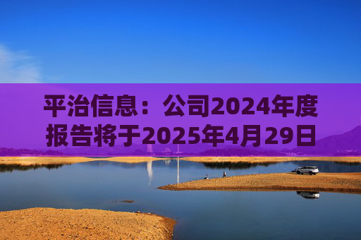 平治信息：公司2024年度报告将于2025年4月29日披露