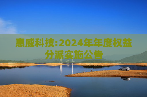 惠威科技:2024年年度权益分派实施公告