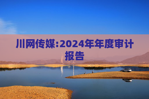 川网传媒:2024年年度审计报告