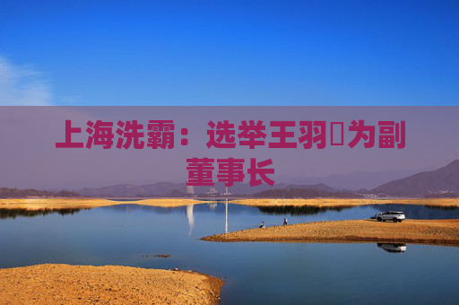 上海洗霸：选举王羽旸为副董事长  第1张