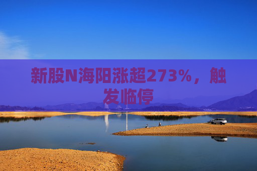 新股N海阳涨超273%，触发临停