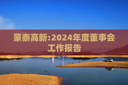 蒙泰高新:2024年度董事会工作报告