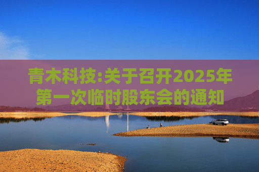 青木科技:关于召开2025年第一次临时股东会的通知  第1张