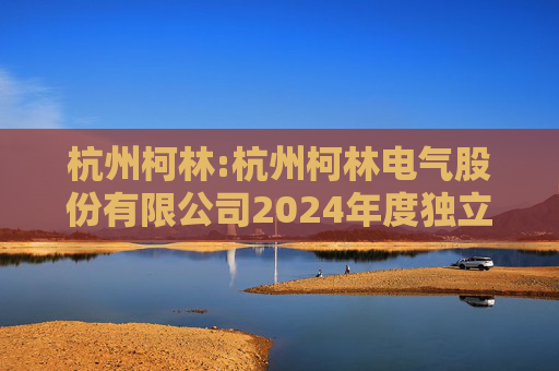 杭州柯林:杭州柯林电气股份有限公司2024年度独立董事述职报告（毛卫民）