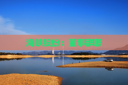 海峡股份：董事辞职  第1张