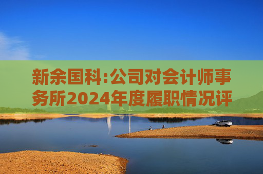 新余国科:公司对会计师事务所2024年度履职情况评估报告