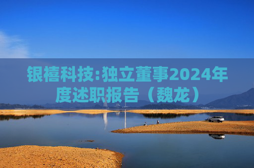 银禧科技:独立董事2024年度述职报告（魏龙）