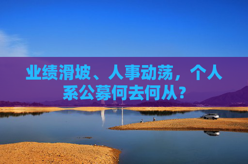 业绩滑坡、人事动荡，个人系公募何去何从？