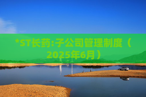 *ST长药:子公司管理制度（2025年6月）