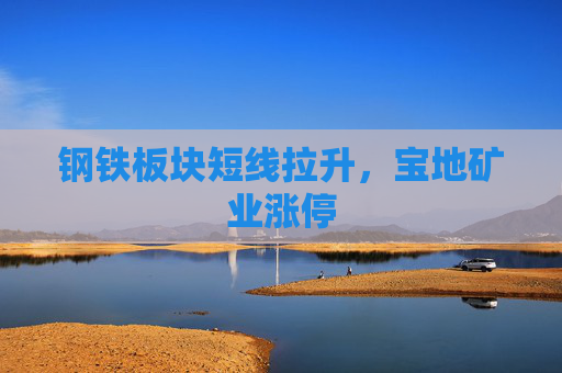 钢铁板块短线拉升，宝地矿业涨停  第1张