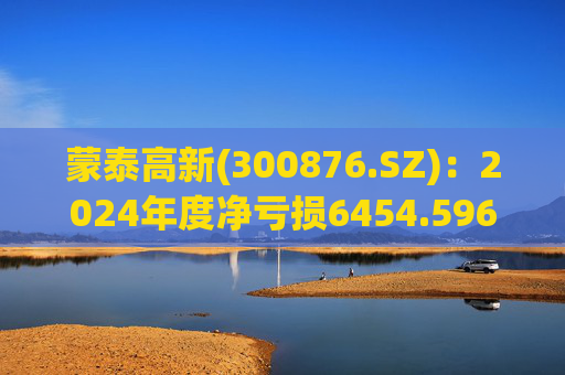 蒙泰高新(300876.SZ)：2024年度净亏损6454.596万元