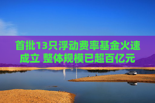 首批13只浮动费率基金火速成立 整体规模已超百亿元