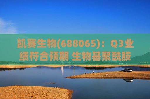 凯赛生物(688065)：Q3业绩符合预期 生物基聚酰胺复材商业化持续推进