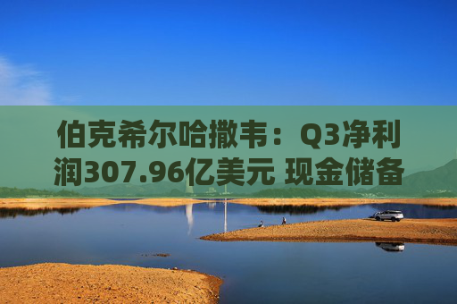 伯克希尔哈撒韦：Q3净利润307.96亿美元 现金储备达3816.7亿美元