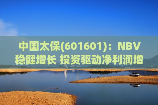 中国太保(601601)：NBV稳健增长 投资驱动净利润增速提升