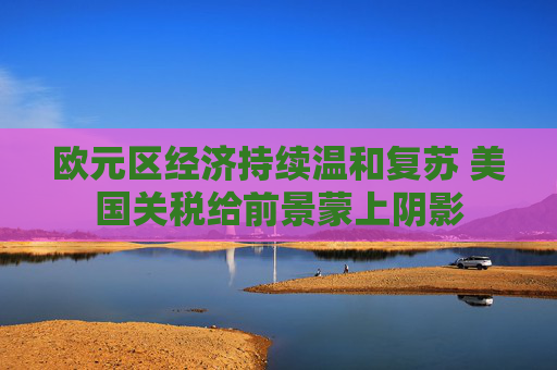 欧元区经济持续温和复苏 美国关税给前景蒙上阴影