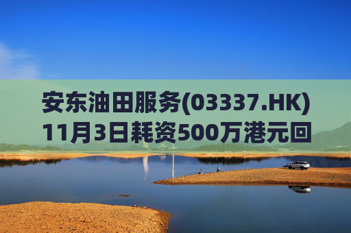 安东油田服务(03337.HK)11月3日耗资500万港元回购472万股