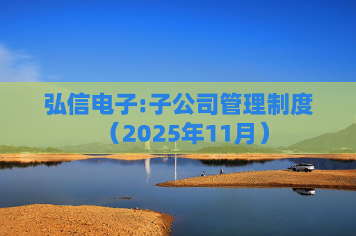 弘信电子:子公司管理制度（2025年11月）