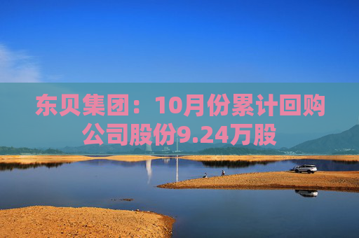 东贝集团：10月份累计回购公司股份9.24万股