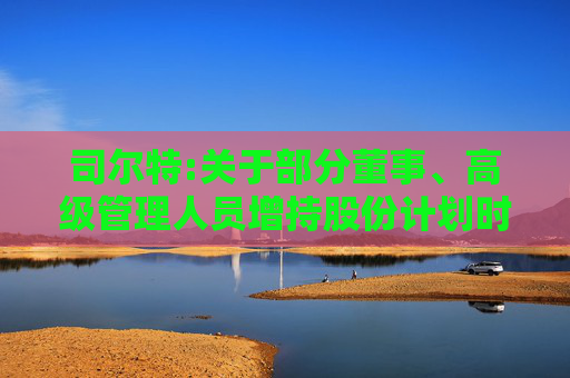 司尔特:关于部分董事、高级管理人员增持股份计划时间过半的进展公告