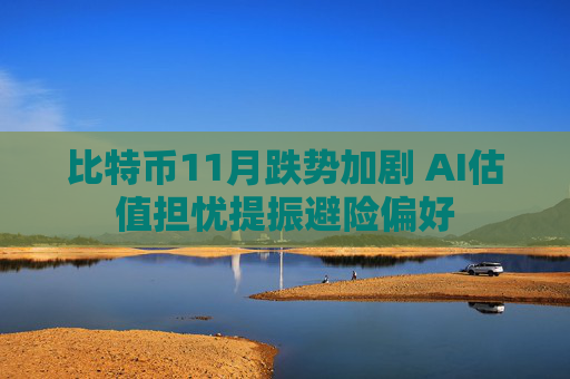 比特币11月跌势加剧 AI估值担忧提振避险偏好
