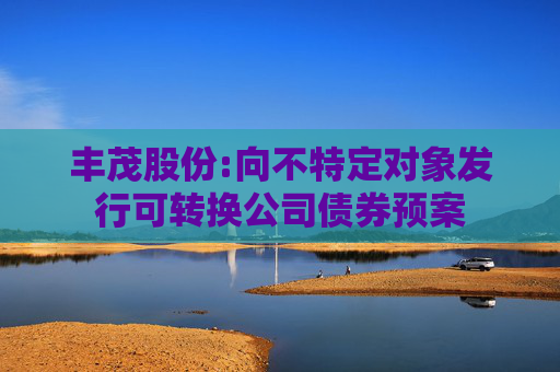 丰茂股份:向不特定对象发行可转换公司债券预案