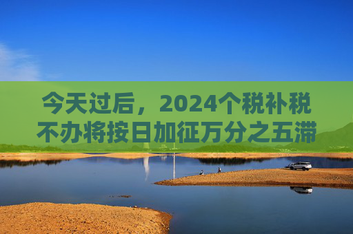 今天过后，2024个税补税不办将按日加征万分之五滞纳金