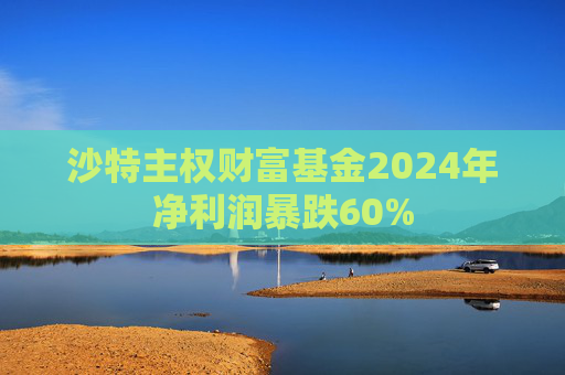 沙特主权财富基金2024年净利润暴跌60%