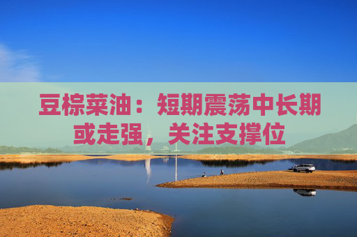 豆棕菜油：短期震荡中长期或走强，关注支撑位  第1张