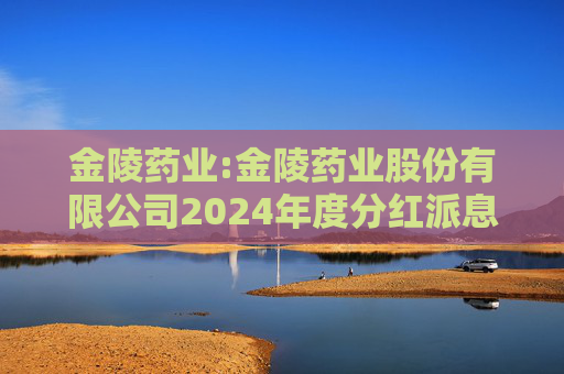 金陵药业:金陵药业股份有限公司2024年度分红派息实施公告