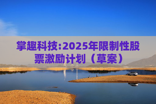 掌趣科技:2025年限制性股票激励计划（草案）