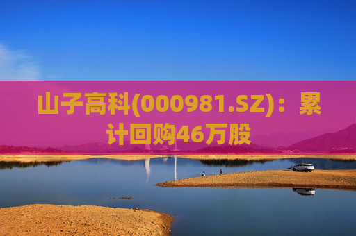 山子高科(000981.SZ)：累计回购46万股