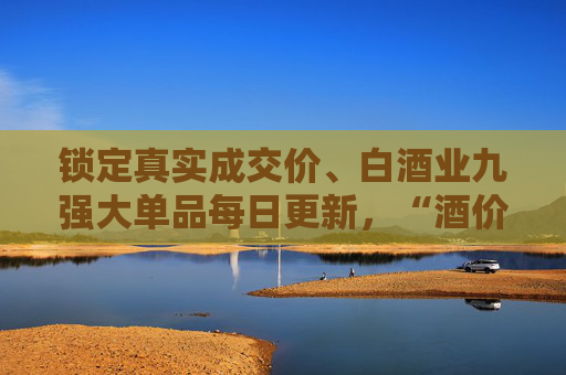 锁定真实成交价、白酒业九强大单品每日更新，“酒价内参”即将上线