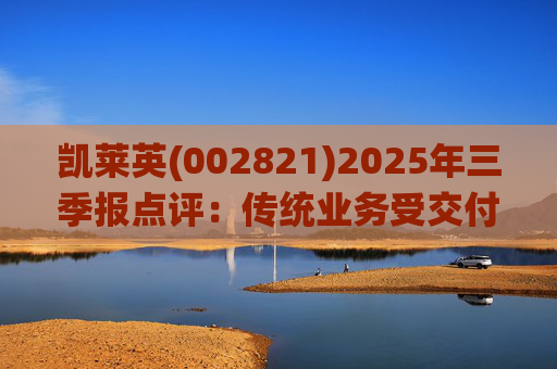 凯莱英(002821)2025年三季报点评：传统业务受交付节奏影响 新兴业务加速放量