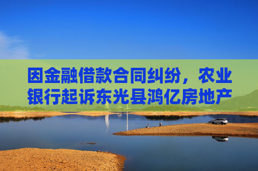因金融借款合同纠纷，农业银行起诉东光县鸿亿房地产开发有限公司等