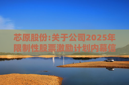 芯原股份:关于公司2025年限制性股票激励计划内幕信息知情人买卖公司股票情况的自查报告