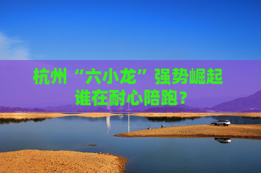 杭州“六小龙”强势崛起 谁在耐心陪跑？