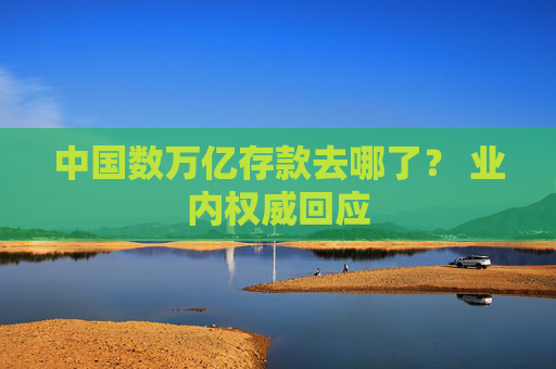 中国数万亿存款去哪了？ 业内权威回应