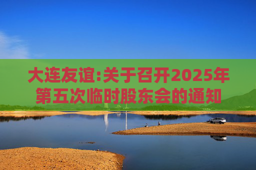 大连友谊:关于召开2025年第五次临时股东会的通知