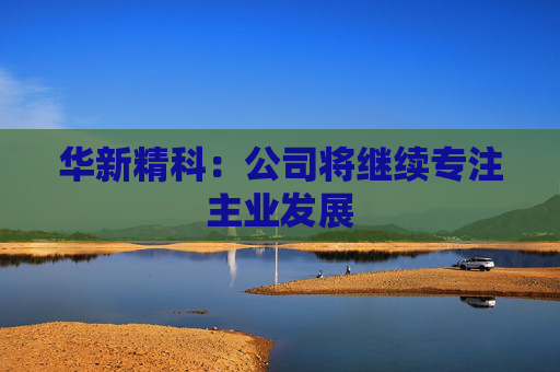 华新精科：公司将继续专注主业发展