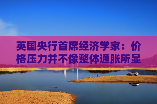 英国央行首席经济学家：价格压力并不像整体通胀所显示的那样强