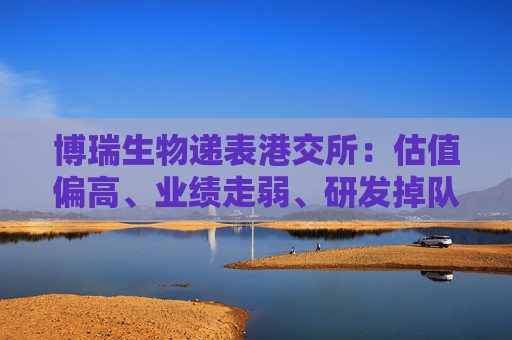 博瑞生物递表港交所：估值偏高、业绩走弱、研发掉队、内控问题频发 资本市场是否买单？