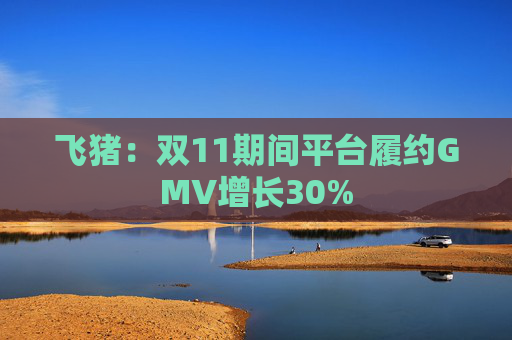 飞猪：双11期间平台履约GMV增长30%