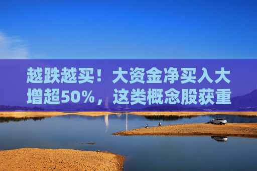 越跌越买！大资金净买入大增超50%，这类概念股获重点关注