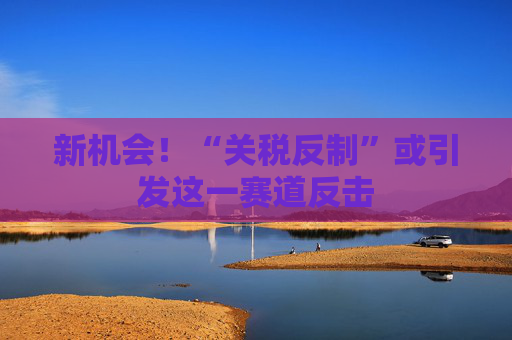 新机会！“关税反制”或引发这一赛道反击